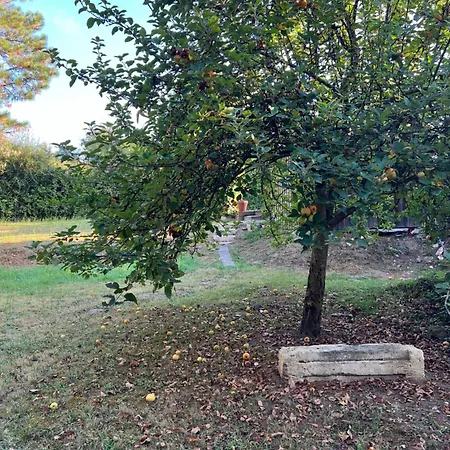 Cocon Nature Proche Bordeaux Bed and Breakfast Saint-André-de-Cubzac