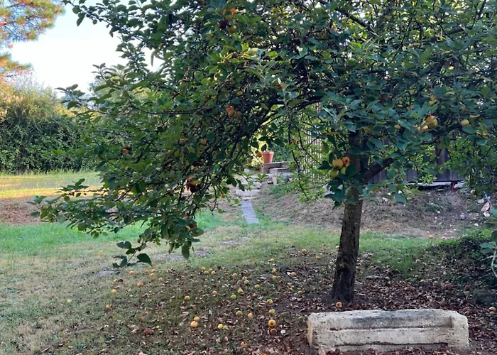 Cocon Nature Proche Bordeaux Bed and Breakfast Saint-André-de-Cubzac